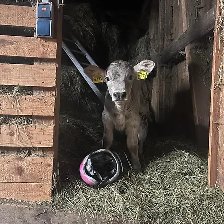 Boxler Lägenhet Oberstdorf